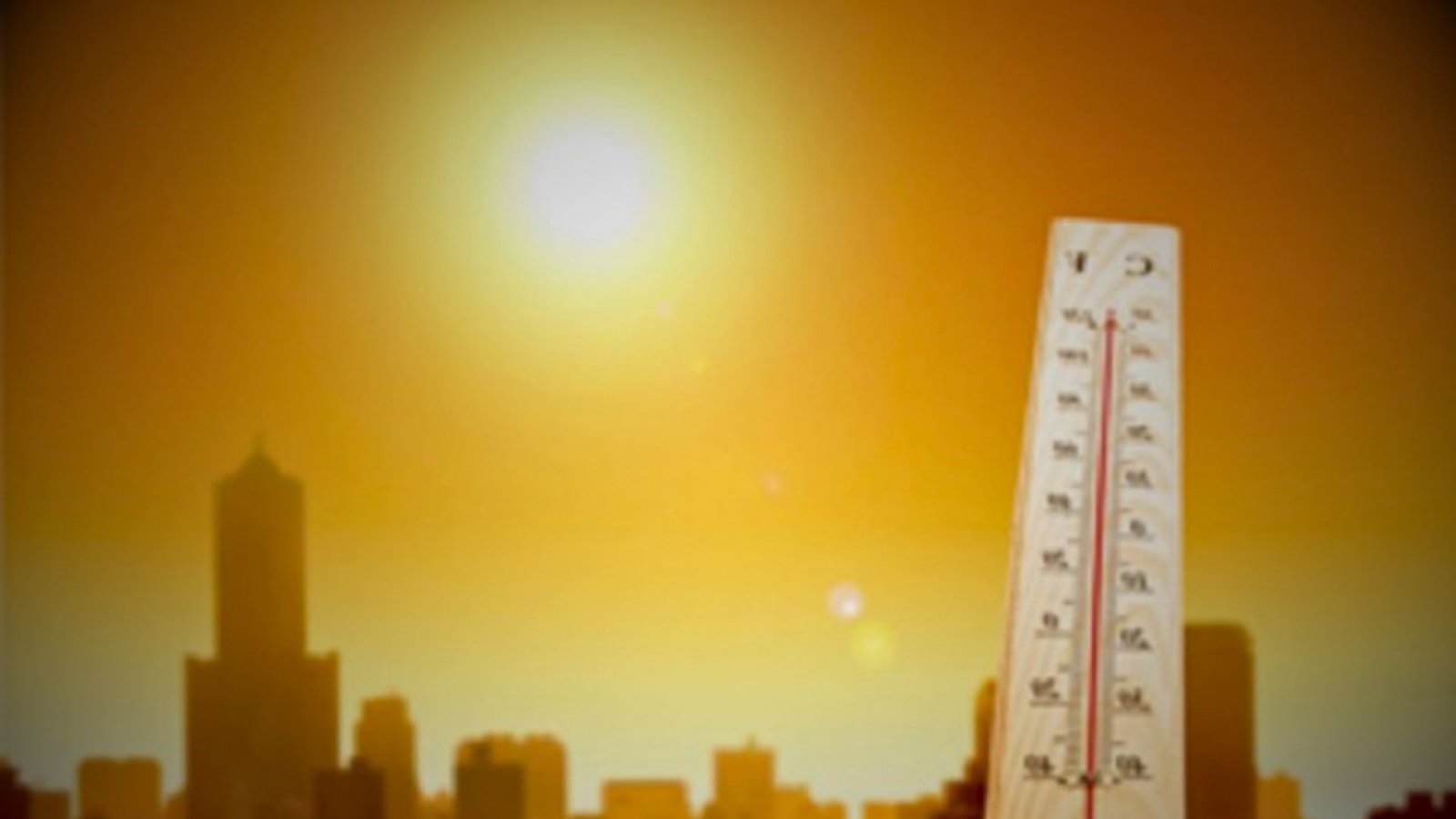 Suhu Udara di California Capai 49 Derajat Celcius, Waspada Bahaya Kebakaran Hutan